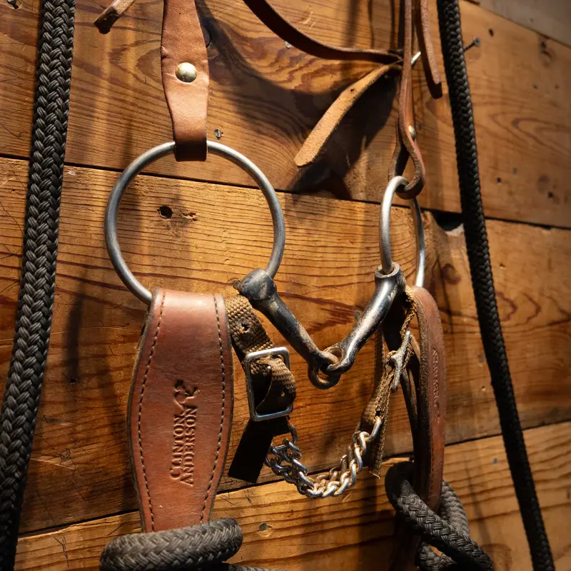 Smooth Snaffle Bridle Rig w/Clinton Anderson Rope Reins
