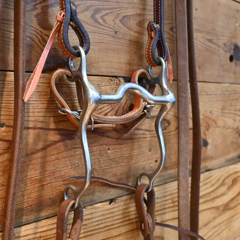 Solid Port Bit Bridle Rig