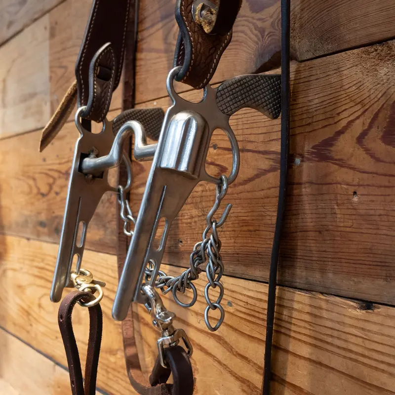Solid Port w/ Cricket Bit Bridle Rig