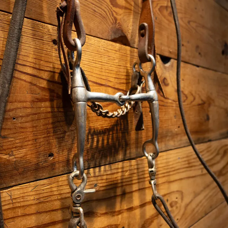 Tom Thumb Smooth Snaffle Bridle Rig