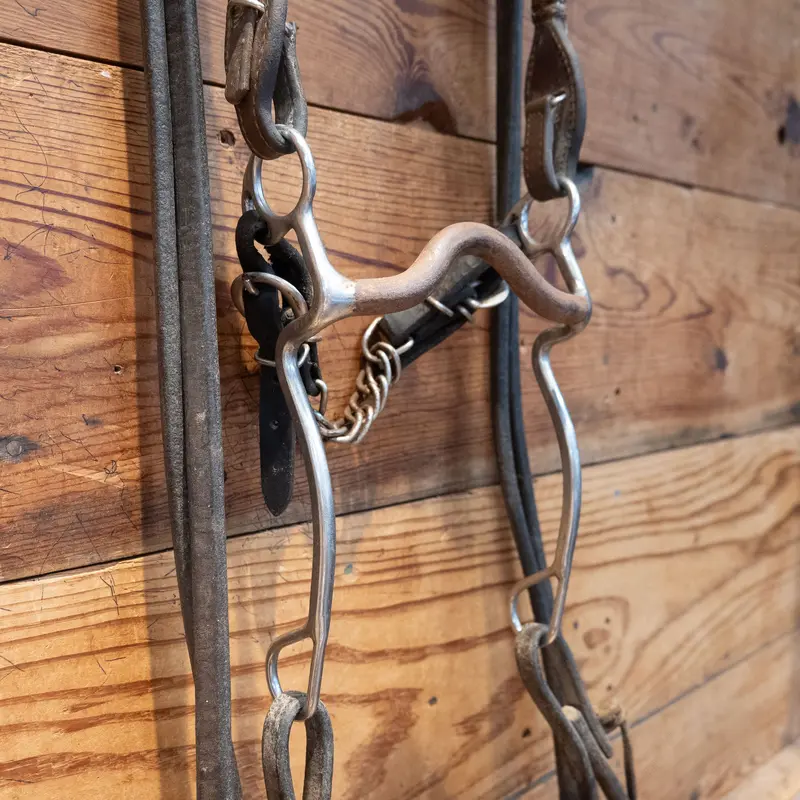 Trammell Solid Port Bit Bridle Rig