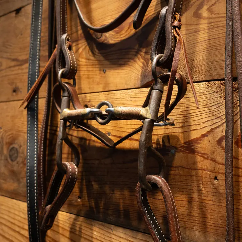 3-Piece with all NEW Leather Bridle Rig