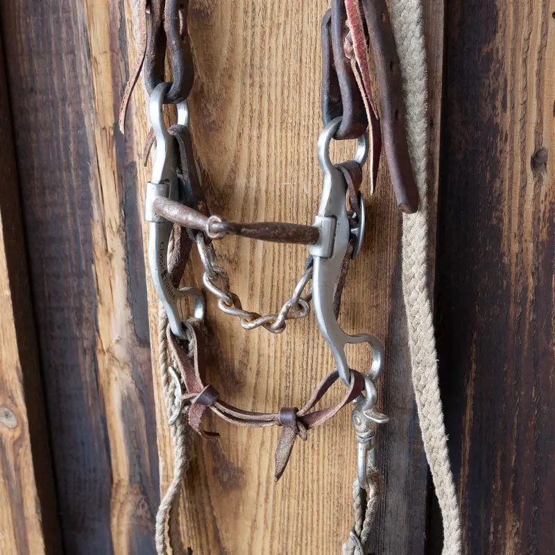 Aluminum Shanked Snaffle Bridle Rig