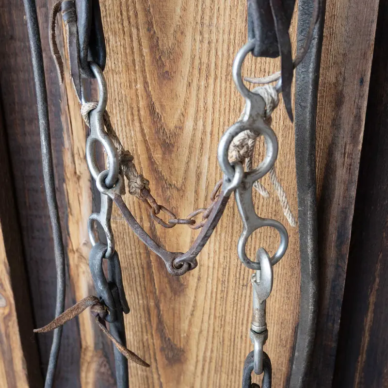 Circle Gag 2 Piece Square Bridle Rig