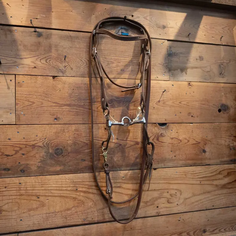 Classic Equine Correction Bit Bridle Rig