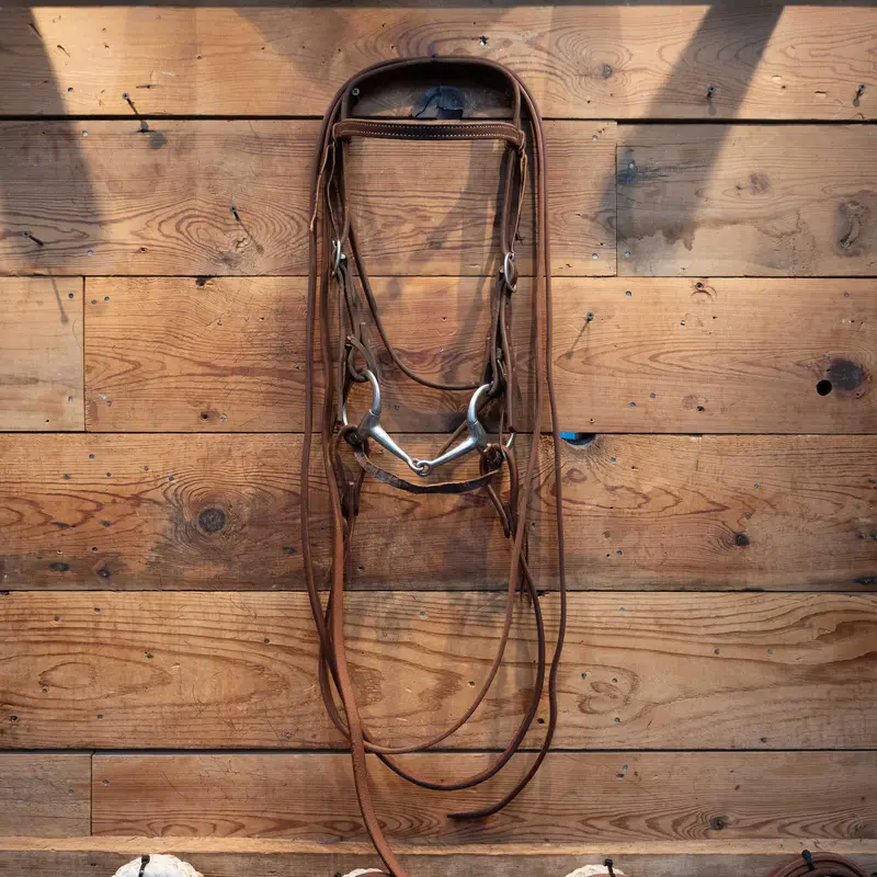 D-Ring Smooth Snaffle Bridle Rig