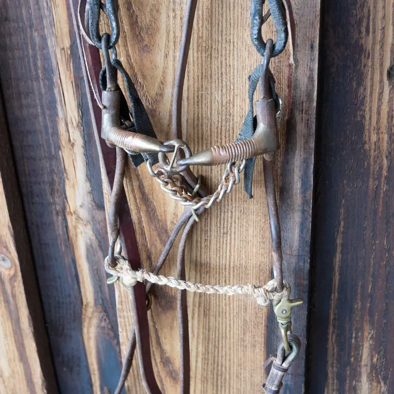 Dutton Lifesaver Bridle Rig