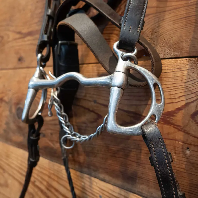 English Bridle Rig w/Low Port D-Ring