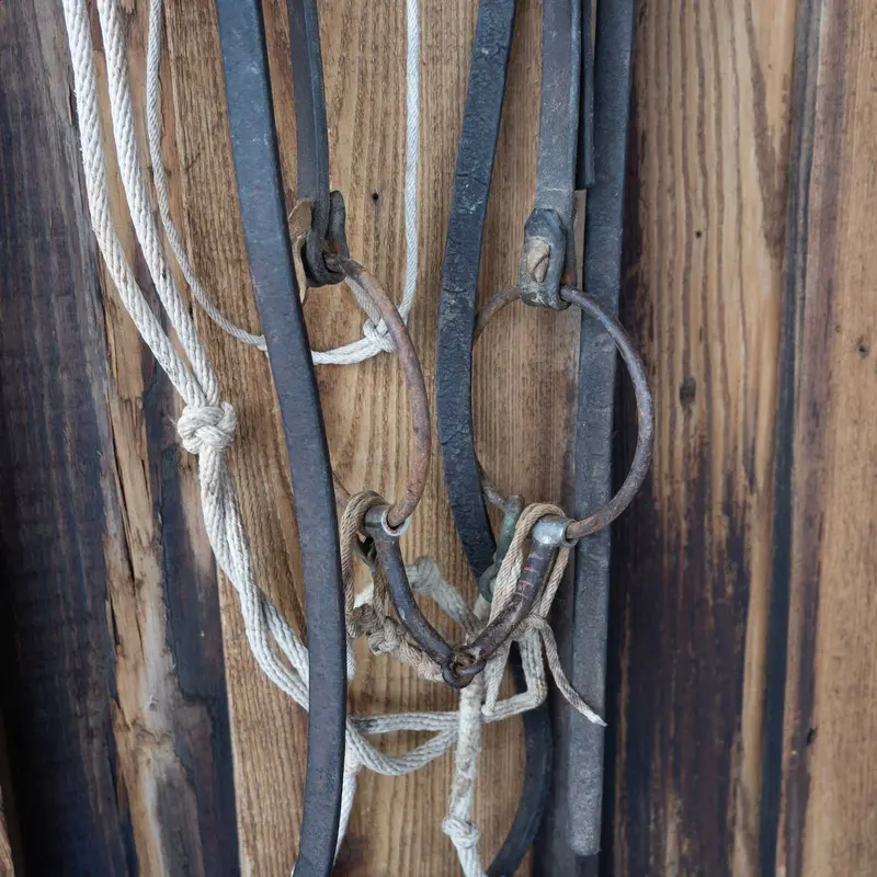 Large O-Ring Smooth Snaffle Bridle Rig