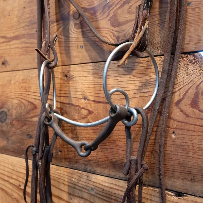 Locked O-Ring Snaffle Bridle Rig