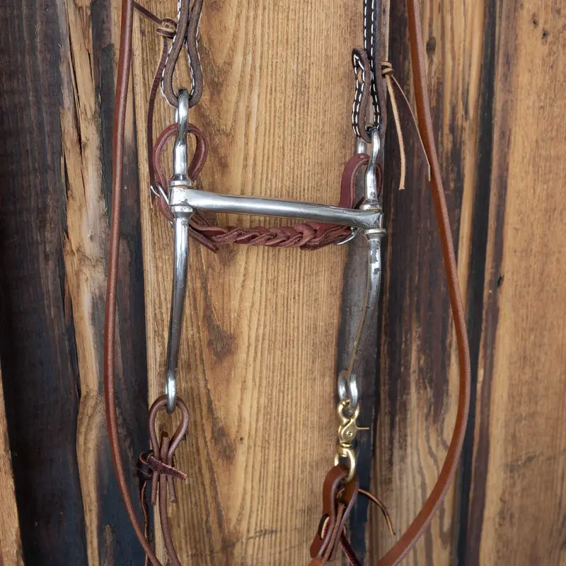 Long Shanked MULLEN Bridle Rig