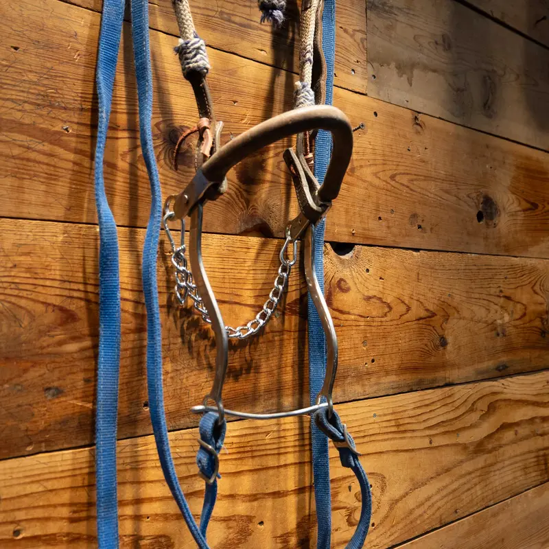 Neoprene Hackamore w/Blue nylon spit reins