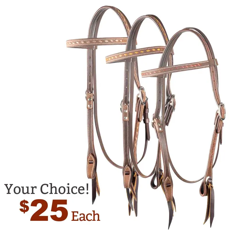 NEW Teskey's 3/4" Buckstitched Browband Headstall