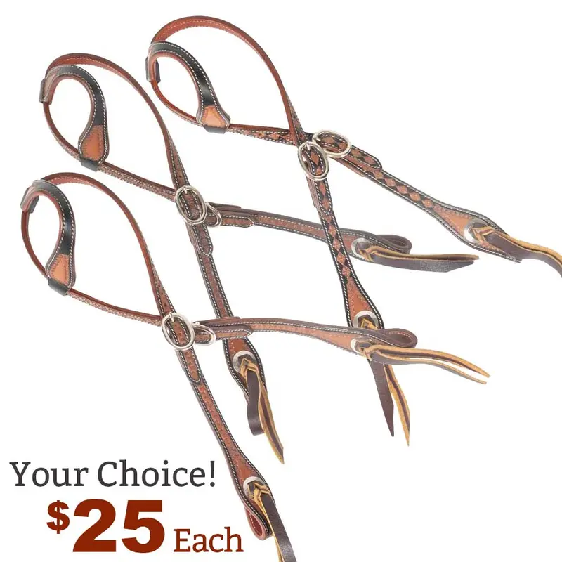 NEW Teskey's 3/4" Painted Tooled One Ear Headstall