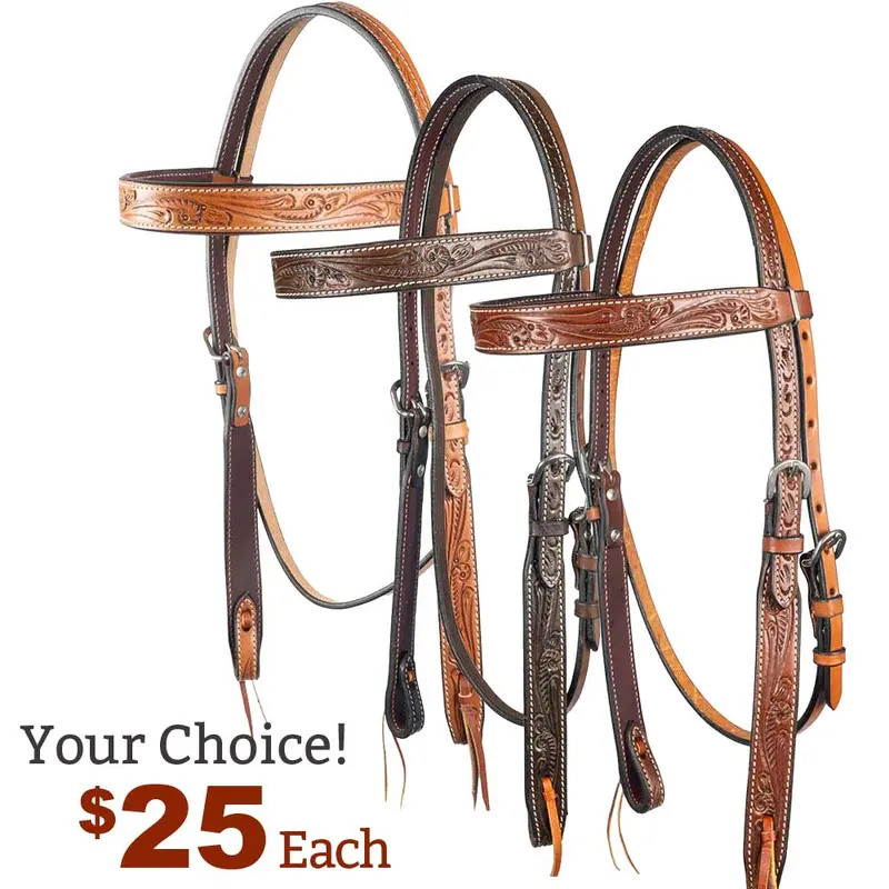 NEW Teskey's Argentinian Floral Browband Headstall