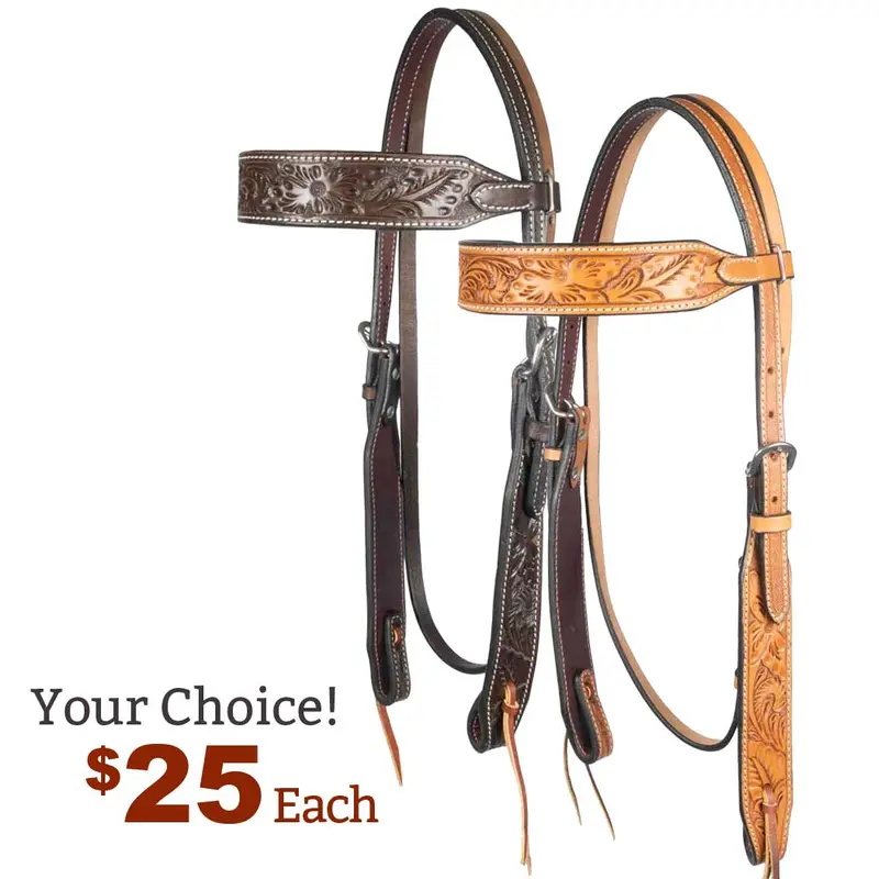 NEW Teskey's Floral Argentinian Browband Headstall