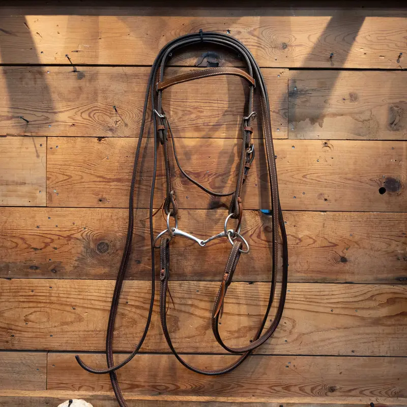 O-Ring Smooth/Twisted Snaffle Bridle Rig