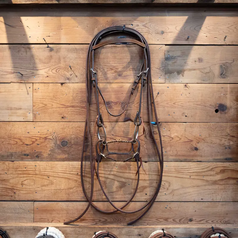 O-Ring Twisted Snaffle Bridle Rig