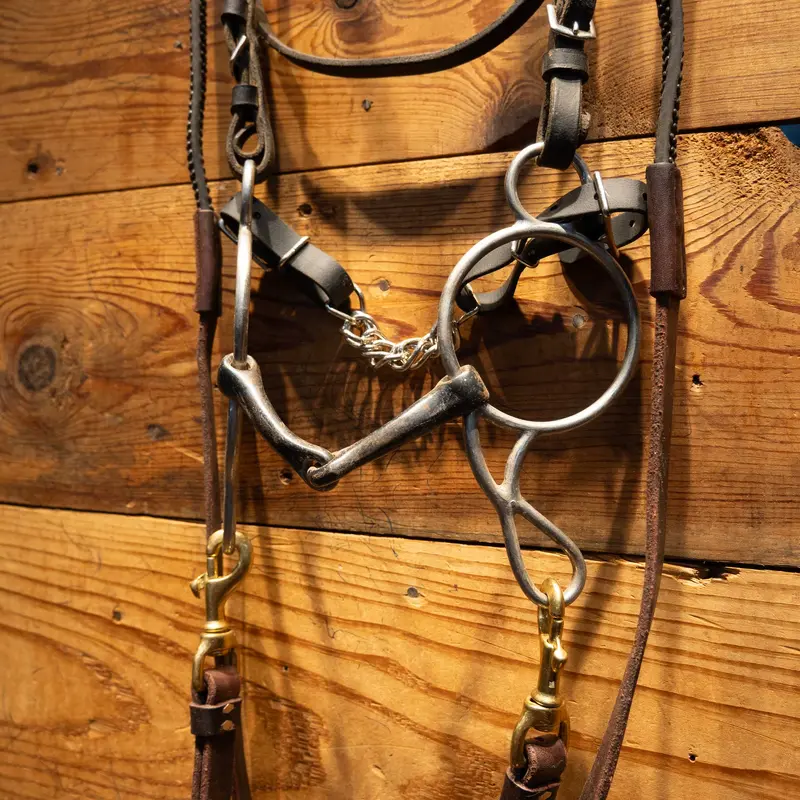 Play Day Rig Smooth Snaffle gag