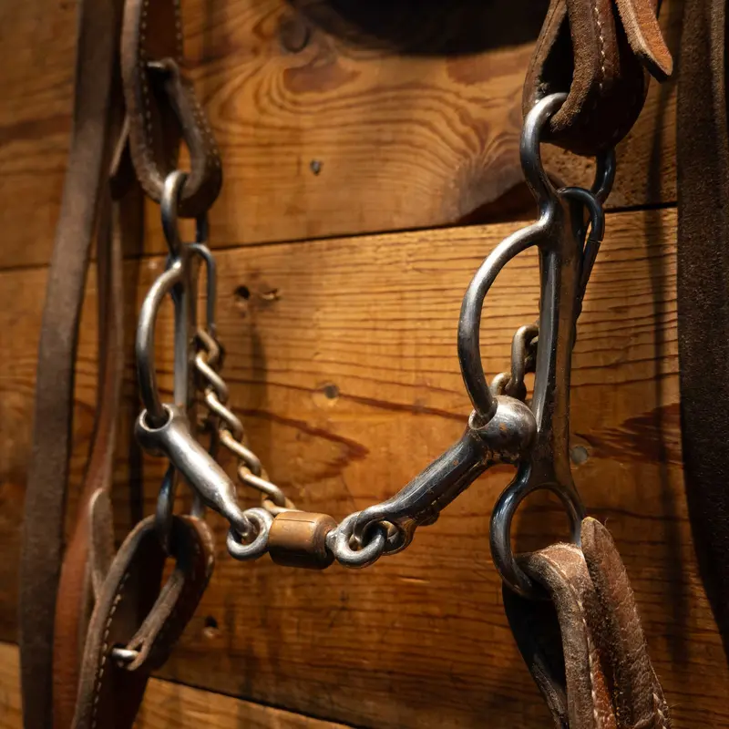 Professional's Choice 3 piece Matching Turquoise Headstall & Reins