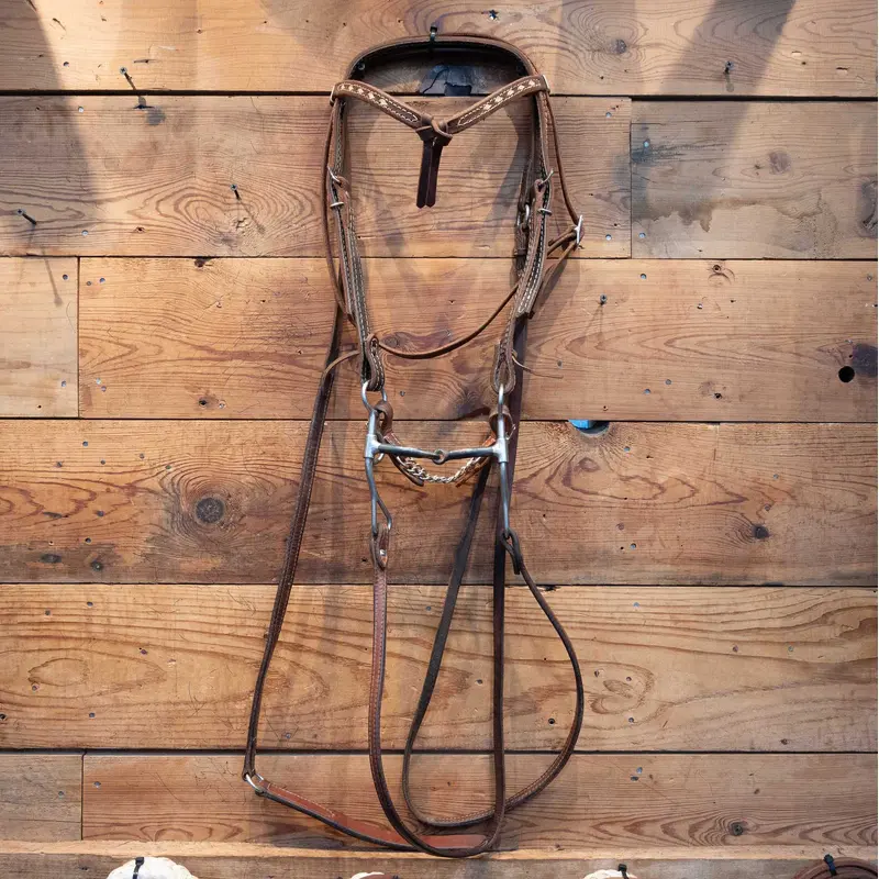 Shanked Smooth Snaffle Bridle Rig