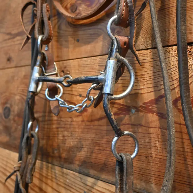 Shanked Snaffle Bridle Rig