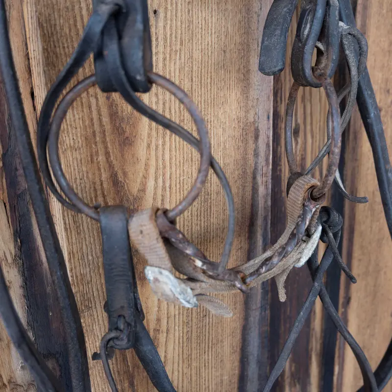 Slow Twist O-Ring Bridle Rig