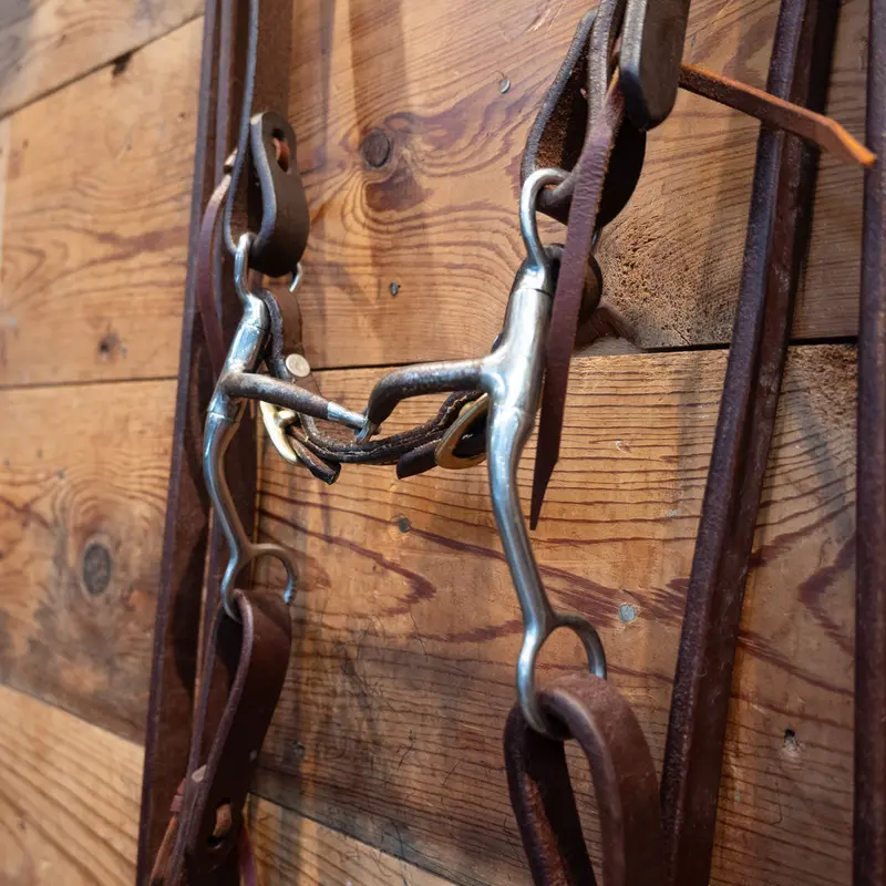 TOKLAT Shanked Smooth Snaffle w/ All NEW Leather Rig