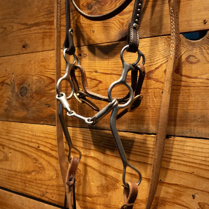 TRAMMELL 3 piece Circle Gag Bit with all NEW Leather