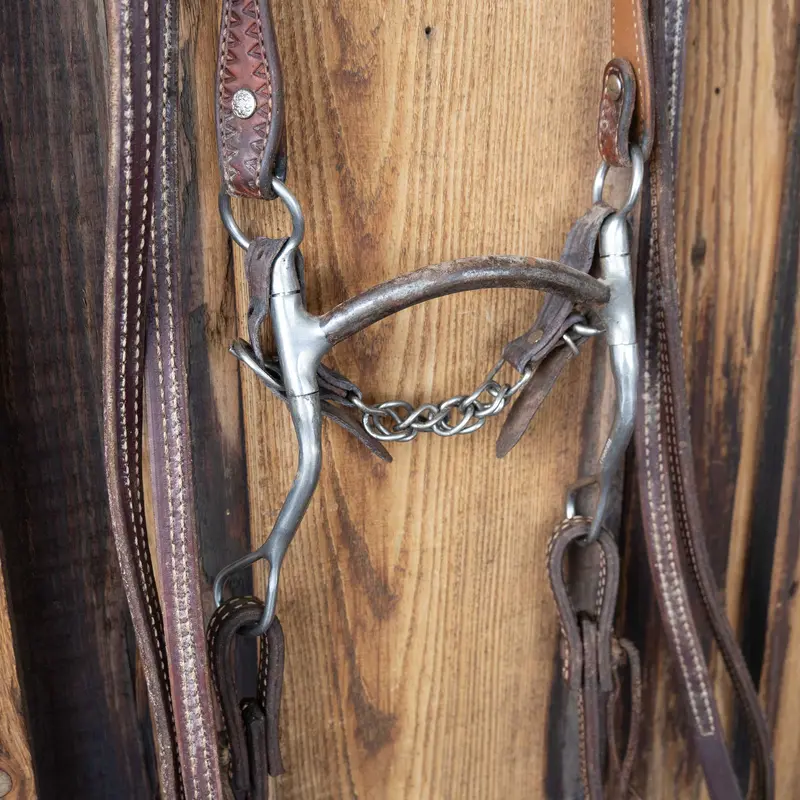 TRAMMELL Mullen w/Leather Bridle Rig