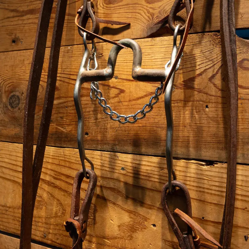 TRAMMELL Solid Port Bridle Rig w/ all NEW leather