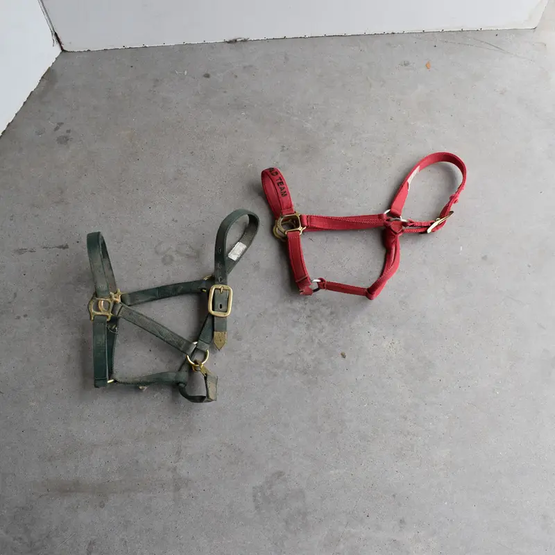 Used Assorted Halters Set Of 2