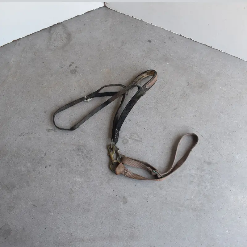 Used Noseband With Tie Down