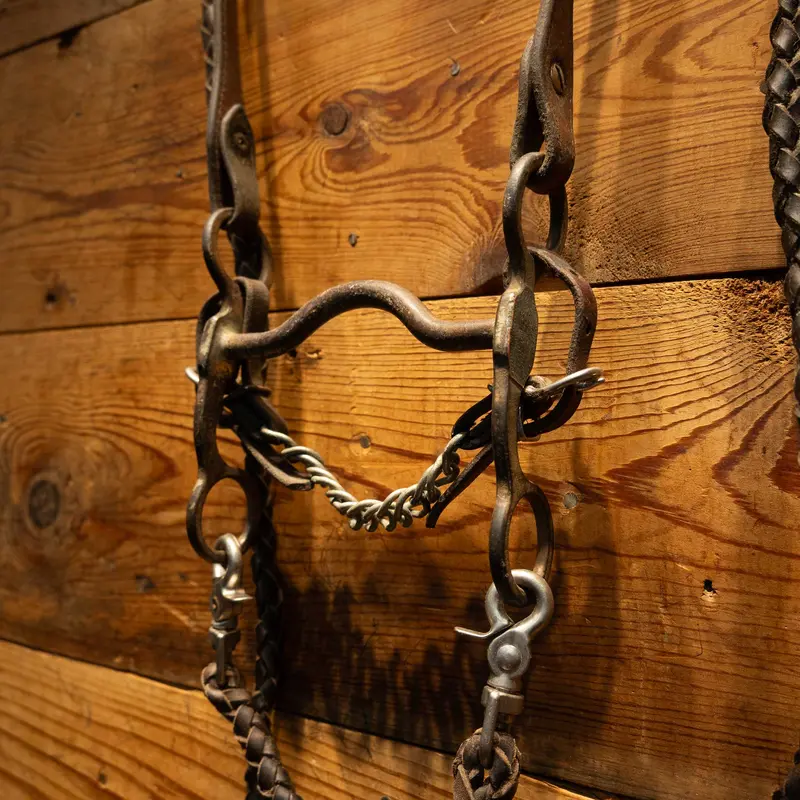 Vintage Silver Shanks with Solid Port Bridle Rig