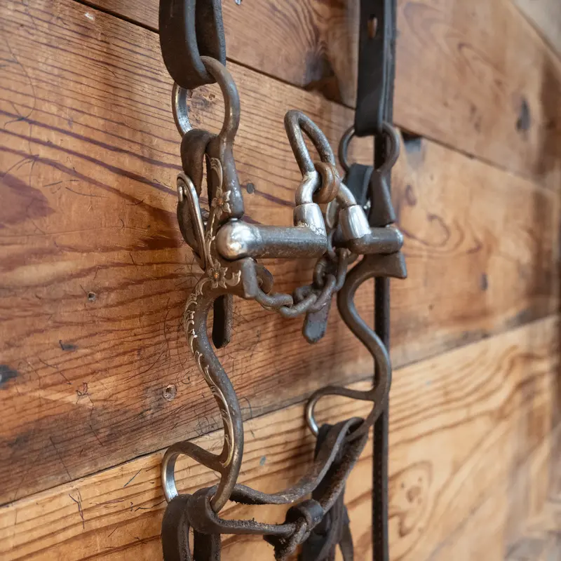 Brandon Anthony Correction Bit Bridle Rig