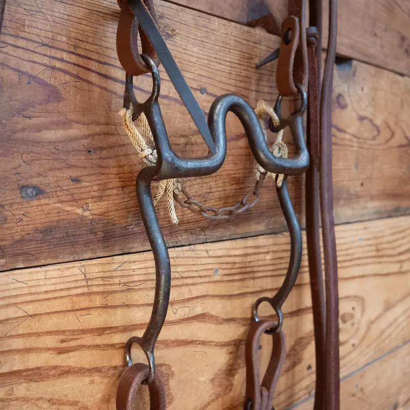 "Burr" Port Bit Bridle Rig