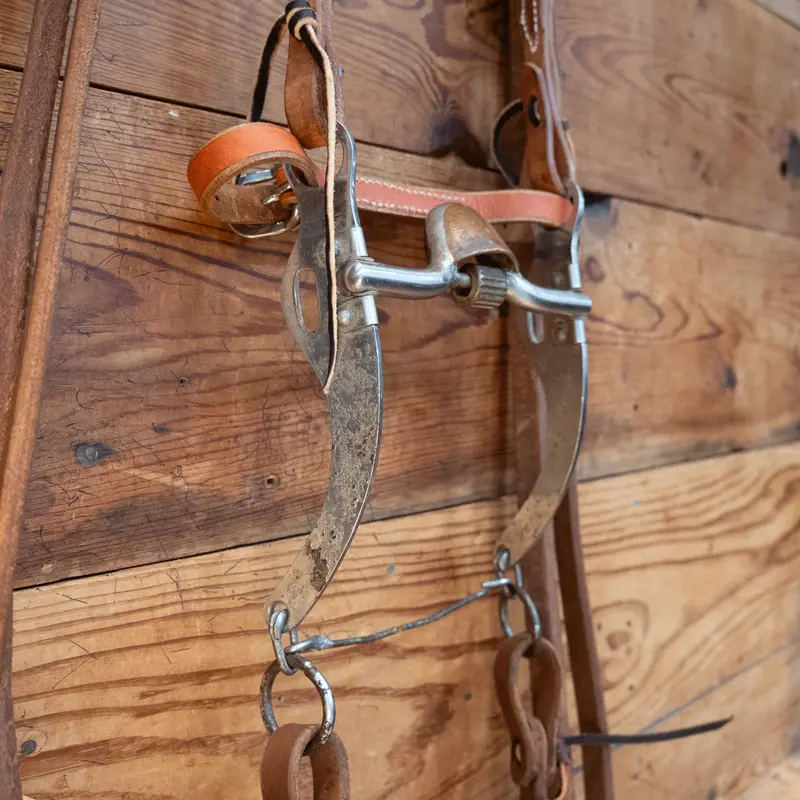 Copper Port w/Roller Bit Bridle Rig