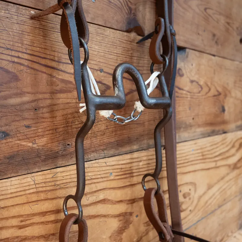 Daryl Davis Port Bit Bridle Rig