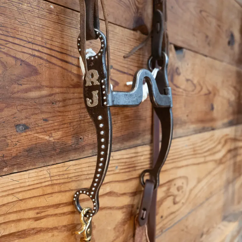 Gordy Alderson Port Bridle Rig
