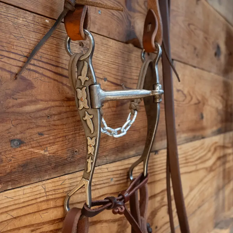 Josh Ownbey Shanked Snaffle Bridle Rig