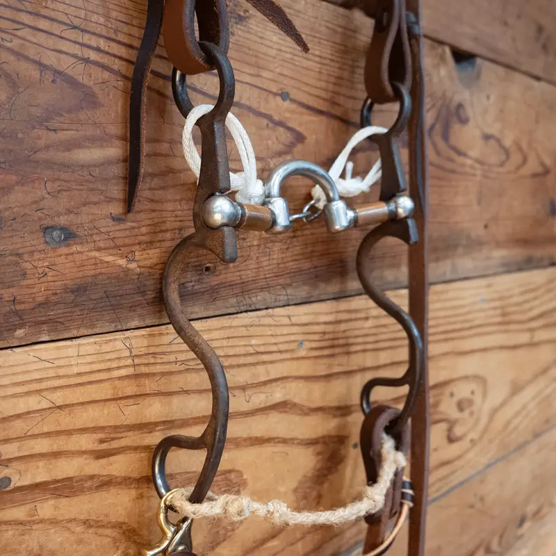 Kerry Kelley Milkman Bit Bridle Rig