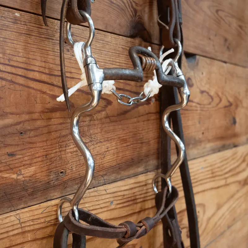 Port w/Copper Rings Bit Bridle Rig