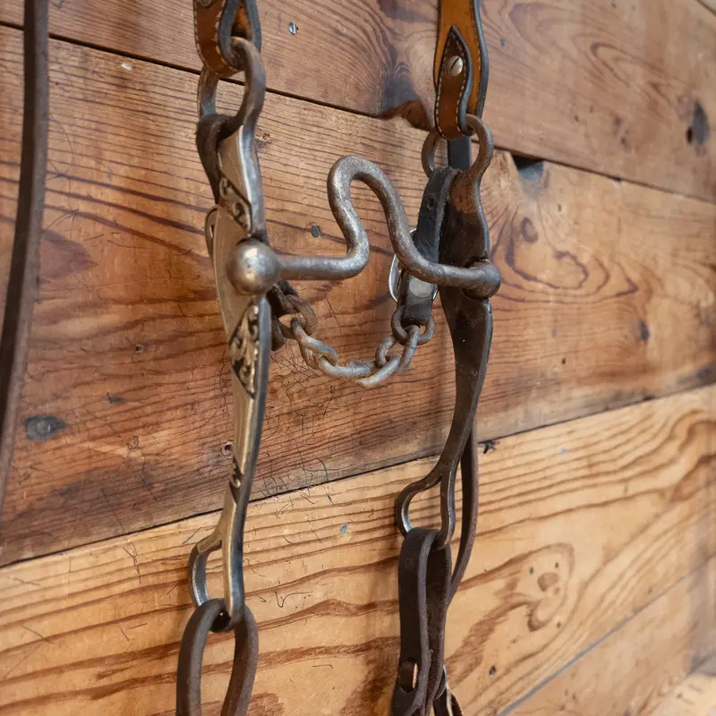 Sinclair Mushroom Port Bridle Rig