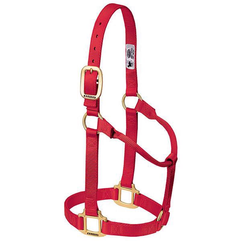 Weaver Leather Red 1" Average Halter