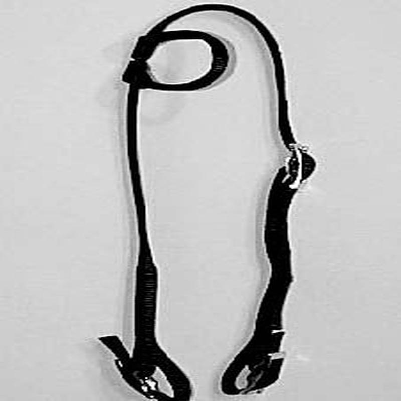 L&W Bits Nylon Buckle Headstall