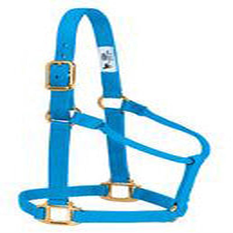 Non-Adjustable Halter , 1" - Hurricane Blue