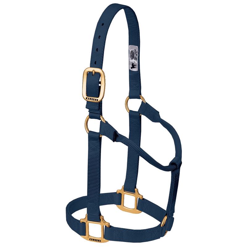 Navy 1" Average Size Non Adjustable Halter