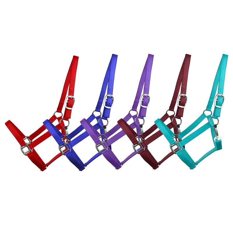 Showman 3-Ply Premium Nylon Full Sized Halter