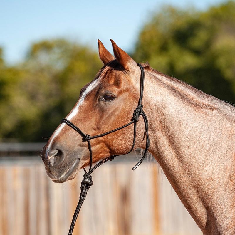 Classic Equine Black Econo Rope Halter